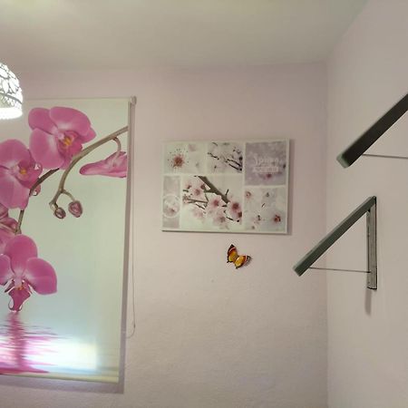 La Casita De Ana. Puerta Valencia. Casco Antiguo Villa เกว็งกา ภายนอก รูปภาพ