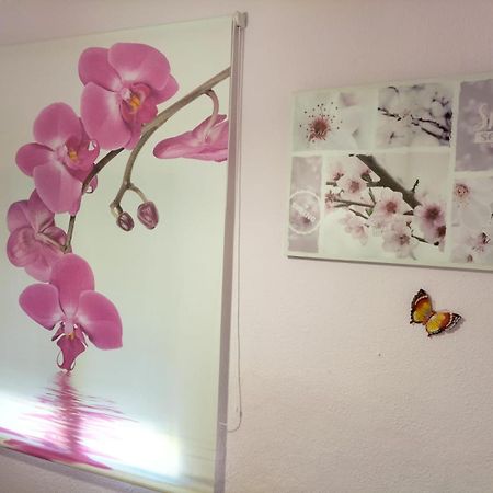 La Casita De Ana. Puerta Valencia. Casco Antiguo Villa เกว็งกา ภายนอก รูปภาพ
